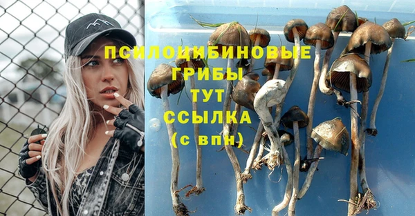 метадон Алзамай