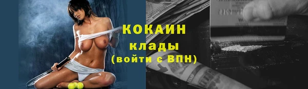 стафф Алексин