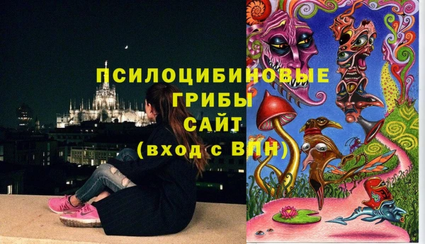 ГАЛЛЮЦИНОГЕННЫЕ ГРИБЫ Алексеевка