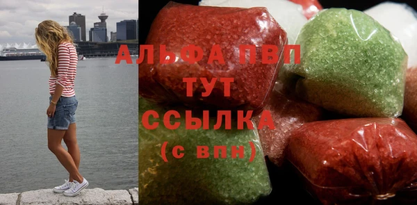 стафф Алексин