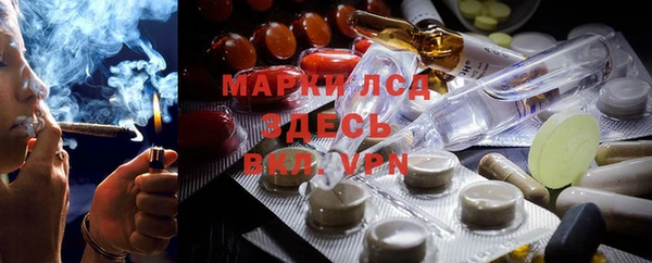 стафф Алексин