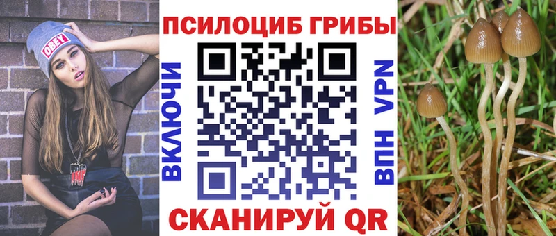 Псилоцибиновые грибы GOLDEN TEACHER  площадка состав  Лагань 